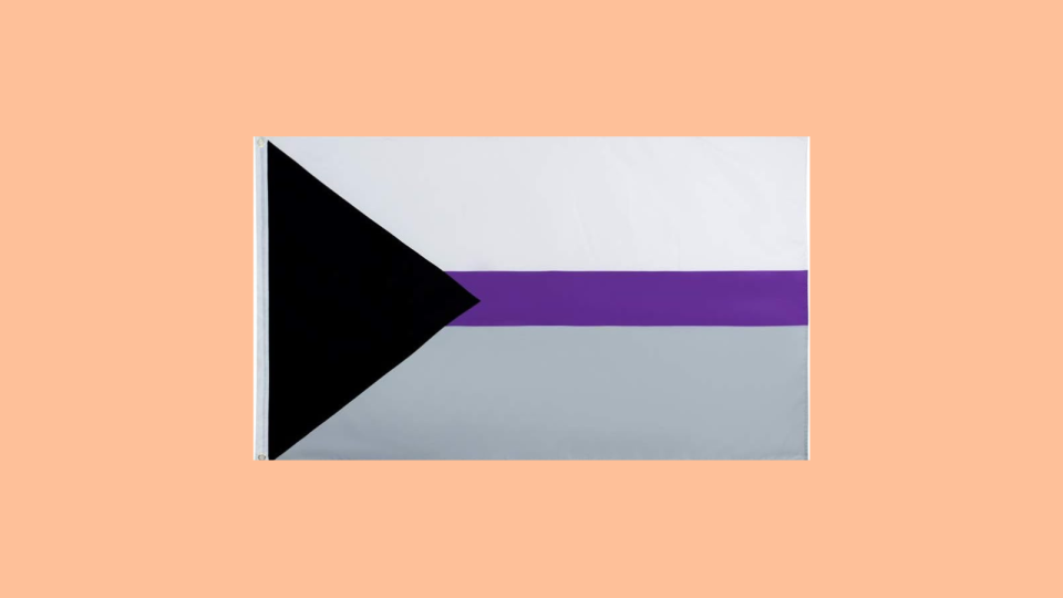 Demisexual flag