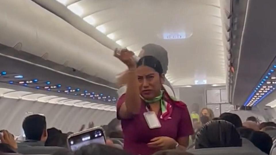 A flight attendant sprays mosquito repellant to get rid of a swarm of mosquitoes that invaded a flight in Mexico.