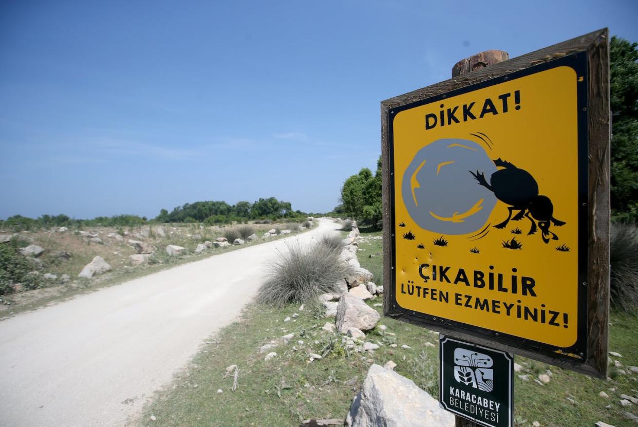 A road sign in Bursa, Turkey, warns drivers of the presence of dung beetles, stating 'Attention! It may come out, don't crush it please!' <a href="https://www.gettyimages.com/detail/news-photo/protection-measures-are-taken-for-the-dung-beetles-which-news-photo/1241220698" rel="nofollow noopener" target="_blank" data-ylk="slk:Ugur Ulu/Anadolu Agency via Getty Images;elm:context_link;itc:0;sec:content-canvas" class="link ">Ugur Ulu/Anadolu Agency via Getty Images</a>