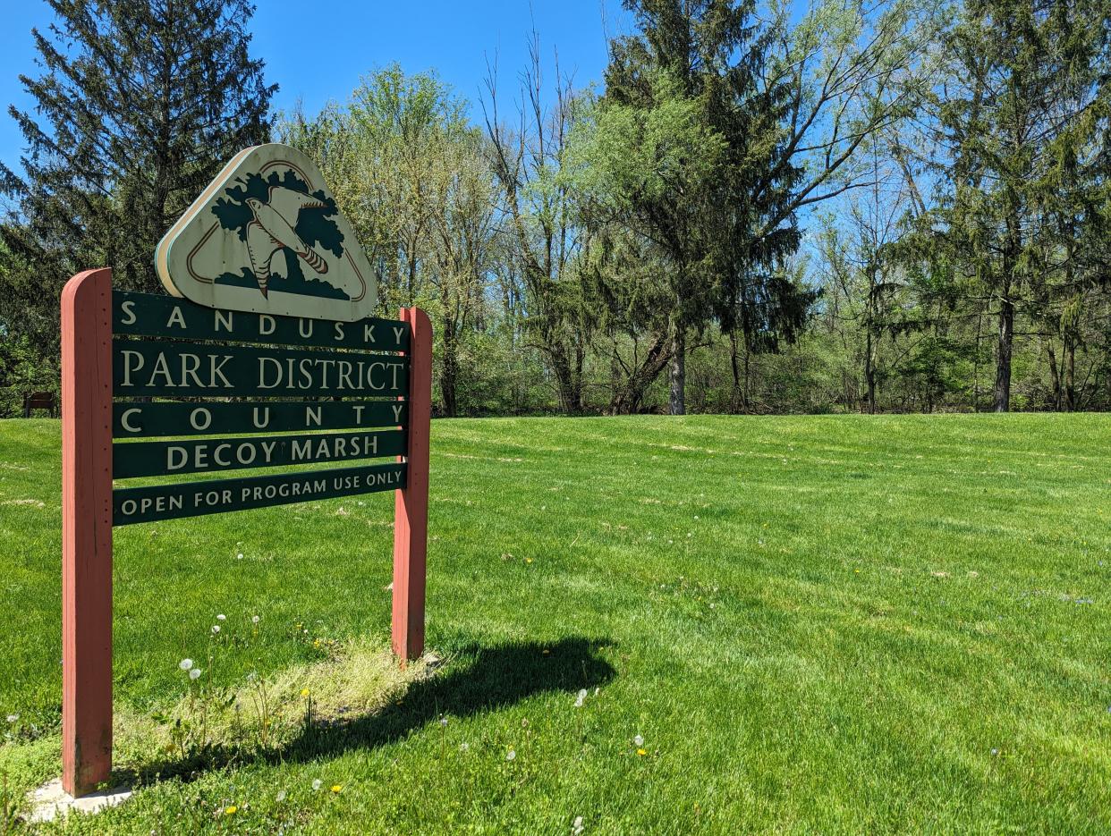 Decoy Marsh, 2700 County Road 259, North of Fremont, is open only in May, for spring migration. Explore the marsh on diked trails while walking along the length of Green Creek to find migrating warblers, shorebirds, and waterfowl.