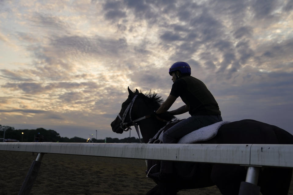 Horses begin their morning training runs at dawn ahead of the Belmont Stakes horse race, Friday, June 9, 2023, at Belmont Park in Elmont, N.Y. (AP Photo/John Minchillo)