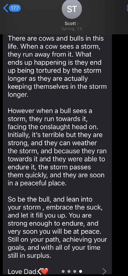The image is a text message from a contact labeled "ST". The message discusses a metaphor about cows and bulls facing storms and encourages resilience and endurance in life. It ends with "Love Dad."