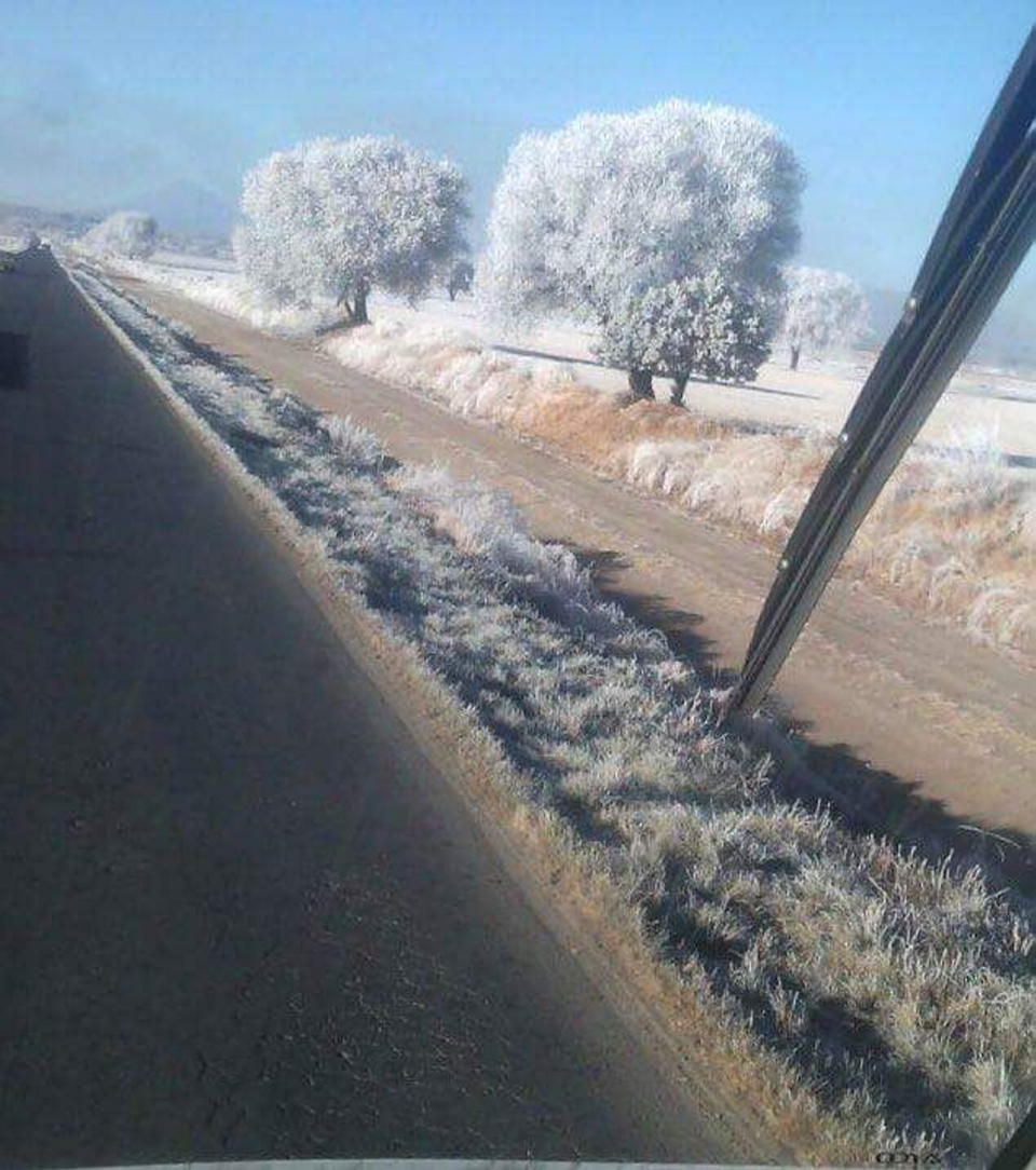 FOTOS: Tlaxcala se cubre de blanco por bajas temperaturas