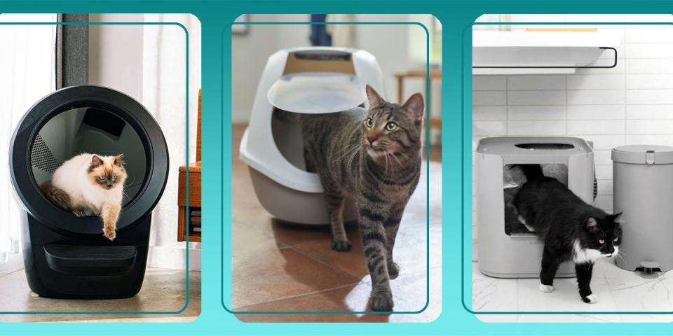 Three cats are climbing out of different litter boxes, including the Litter-Robot, Frisco Hooded Litter Box, and Modkat XL litter box.