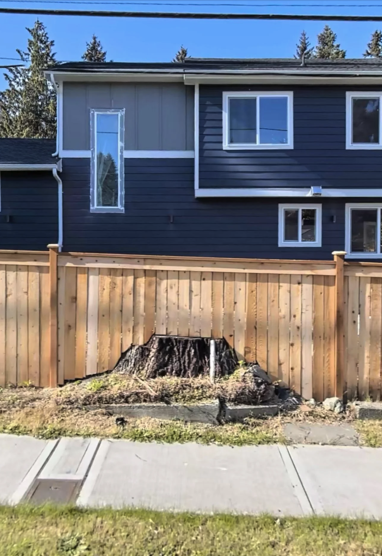 Fence built around a tree stump