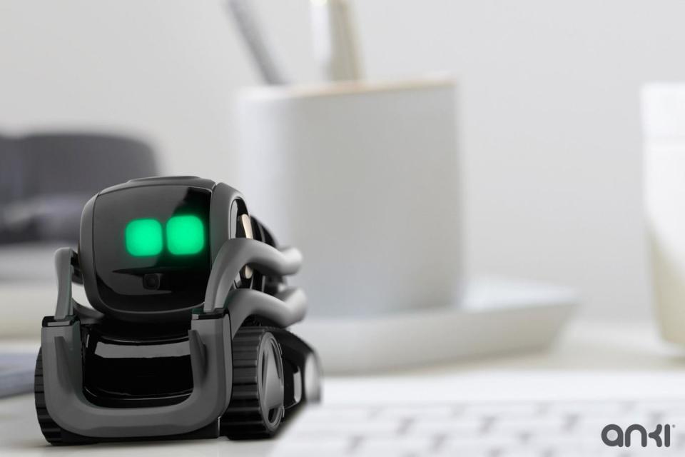 Vector can keep you company at work or when you're cooking at home (Anki)