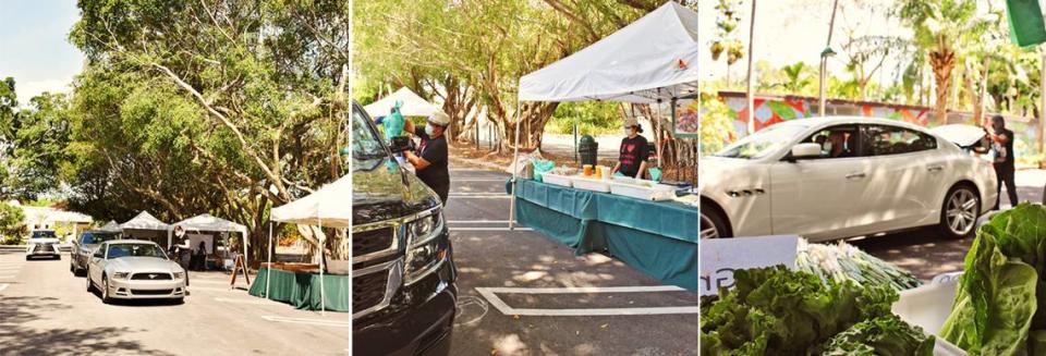 The Pinecrest Farmers Market has converted to a drive-through market at Pinecrest Gardens on Sunday mornings. Masked cyclists, too, can shop at the market.