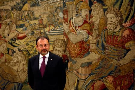 Mexican Foreign Minister Luis Videgaray waits to meet Spain's King Felipe at Zarzuela Palace in Madrid, Spain, April 20, 2017. REUTERS/Susana Vera