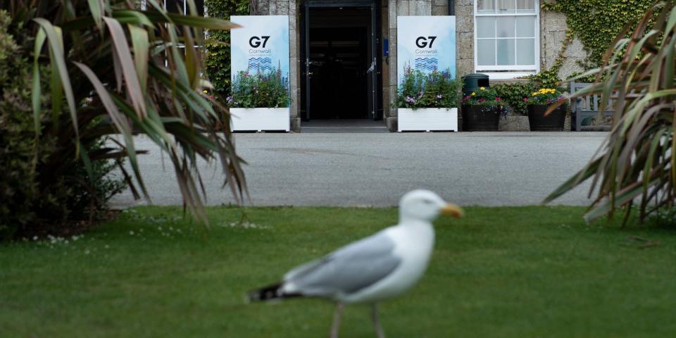 A seagull walks on a lawn in front of the entrance to Tregenna Castle, whose doorway is flanked with G7 signs