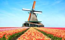 <p><b>Netherlands</b><br> Hospitality: Service charges are included in the price of a restaurant meal, as per Dutch law. You can leave 10 per cent if the service was exceptional. Round up to the nearest euro or leave some small change in a bar.<br> Taxis: Round up the fare to the nearest euro.<br> Hotel: Tip the porter a few euros.<br> (Travel + Leisure) </p>