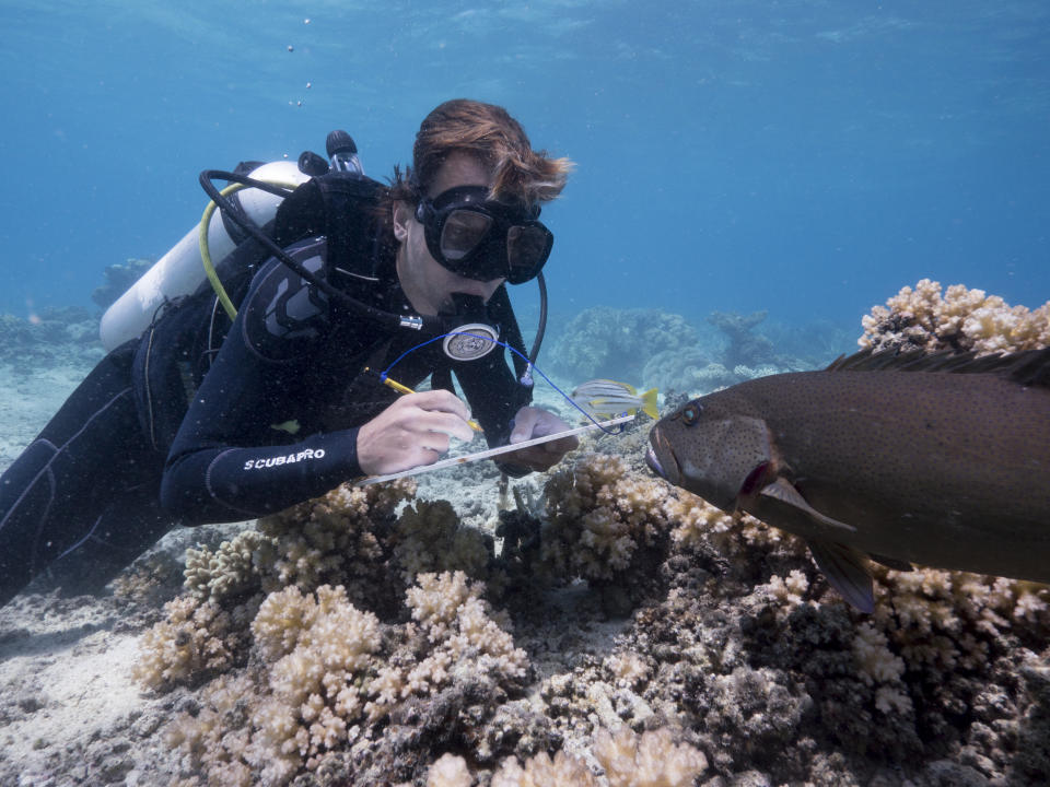 Scientist Alexander Vail studies the reefs around Lizard Island on Australia’s Great Barrier Reef. While filming <em>Blue Planet II</em>, the team witnessed the worst bleaching event ever recorded on the Great Barrier Reef. (Photo: Yoland Bosiger/BBC)