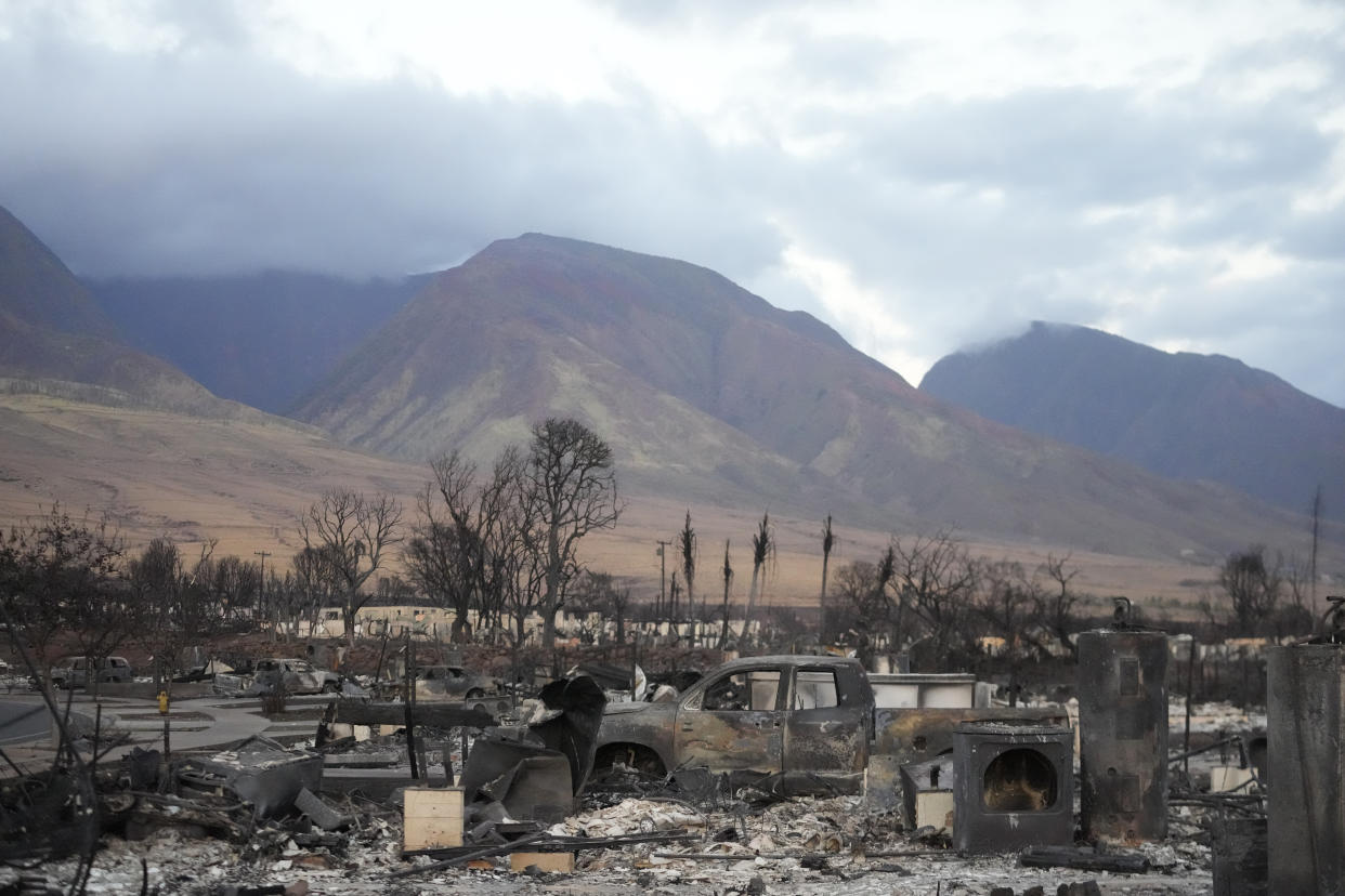 A burned car and burned trees with mountains in the background in Lahaina.