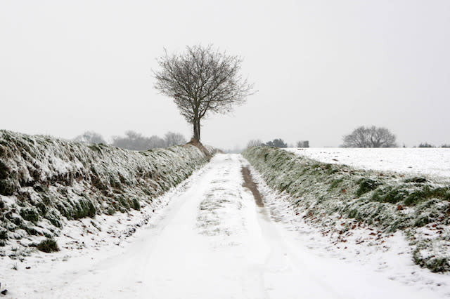 A country lane in Saxlingham, Norfolk, after heavy snowfall.