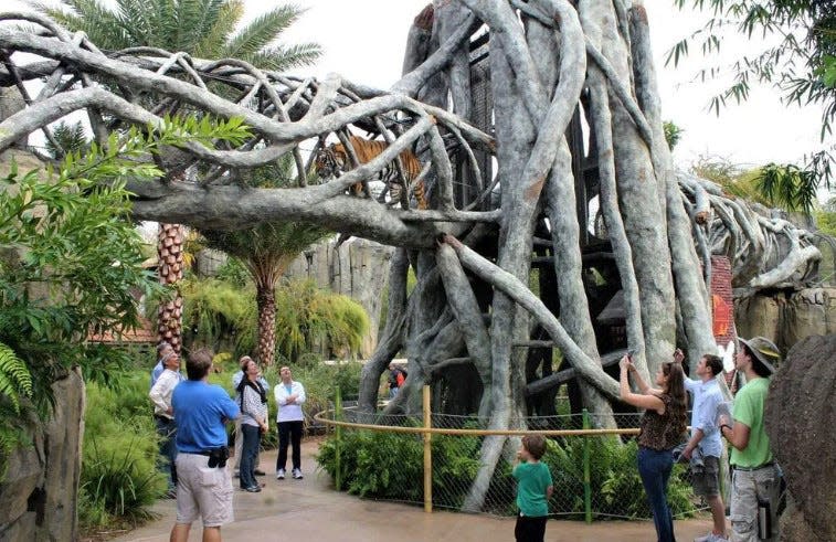 Land of the Tiger exhibit at Jacksonville Zoo and Gardens.