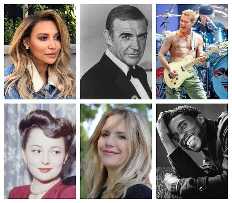 Naya Rivera, Sean Connery, Eddie Van Halen, Chadwick Boseman, Kelly Preston and Olivia de Havilland are some of the big names who died this year. — Pictures from AFP, Eddie Van Halen, Kelly Preston, Naya Rivera, Sam Jones Pictures