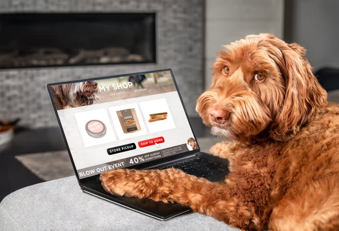 Dog on laptop shopping.