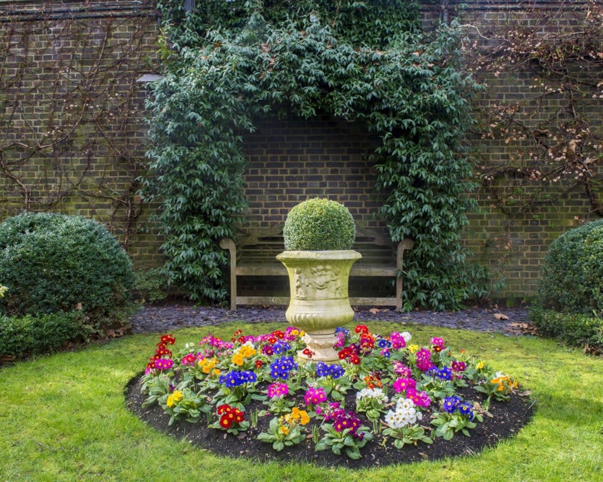 The No10 garden (London Gardens)