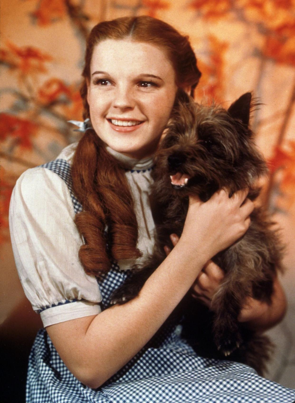 Editorial use only Mandatory Credit: Photo by Snap/Shutterstock (390882bf) FILM STILLS OF 'WIZARD OF OZ' WITH 1939, ANIMALS (WITH ACTORS), CHARACTER, DOG, DOROTHY: WIZARD OF OZ, VICTOR FLEMING, JUDY GARLAND IN 1939 VARIOUS