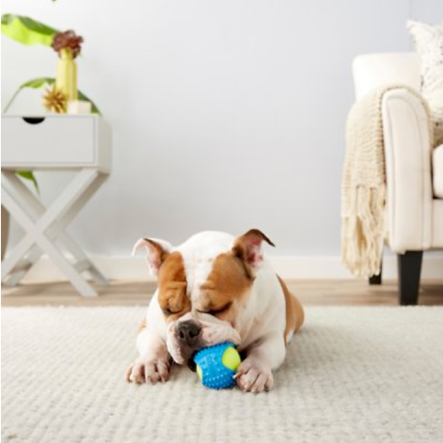 Frisco 2.5” Tennis Ball with Rubber Sleeve. (Photo: Chewy)