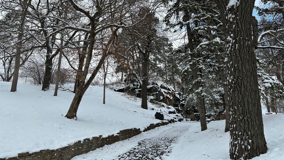 Snow clings to the trees along a walking path at Como Lake in St. Paul, Minnesota on March 22, 2024. - Amy Forliti/AP