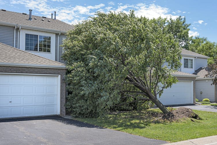 Fallen tree leans on house.