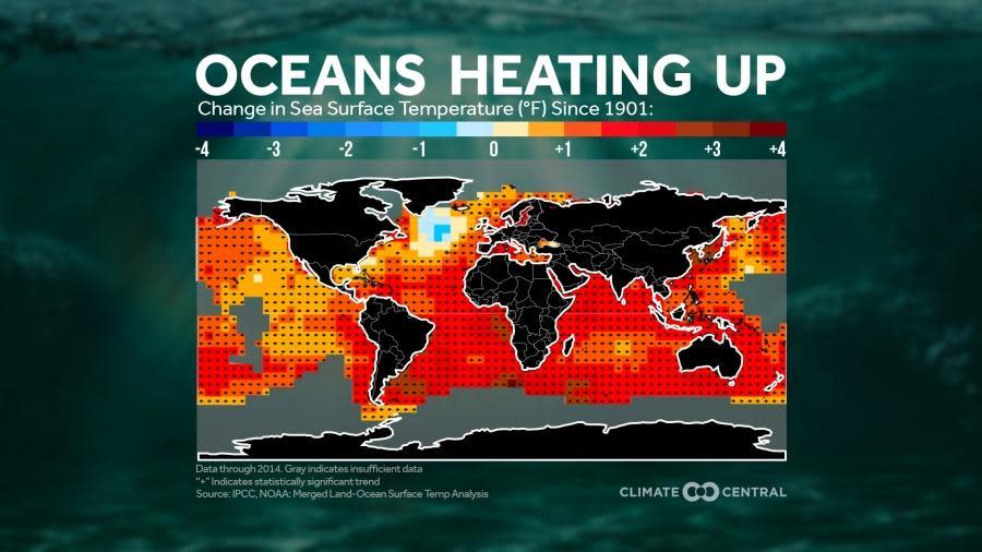 A map showing the change in sea temperature since 1901. / Credit: Climate Central