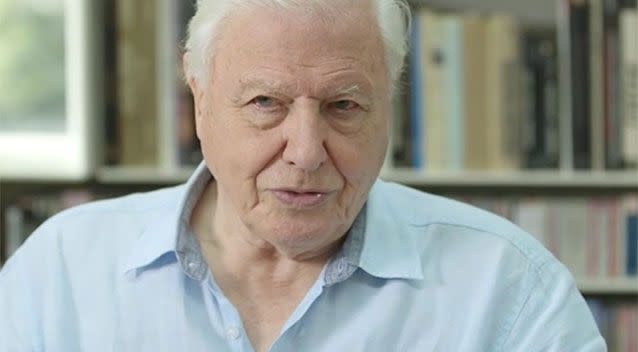 Sir David Attenborough was devastated by the death of a baby albatross that had choked on plastic. Source: SkyNews