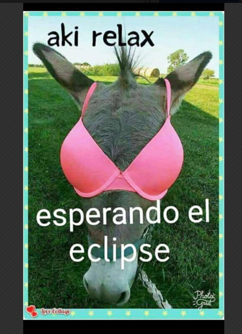 Memes del eclipse 2017