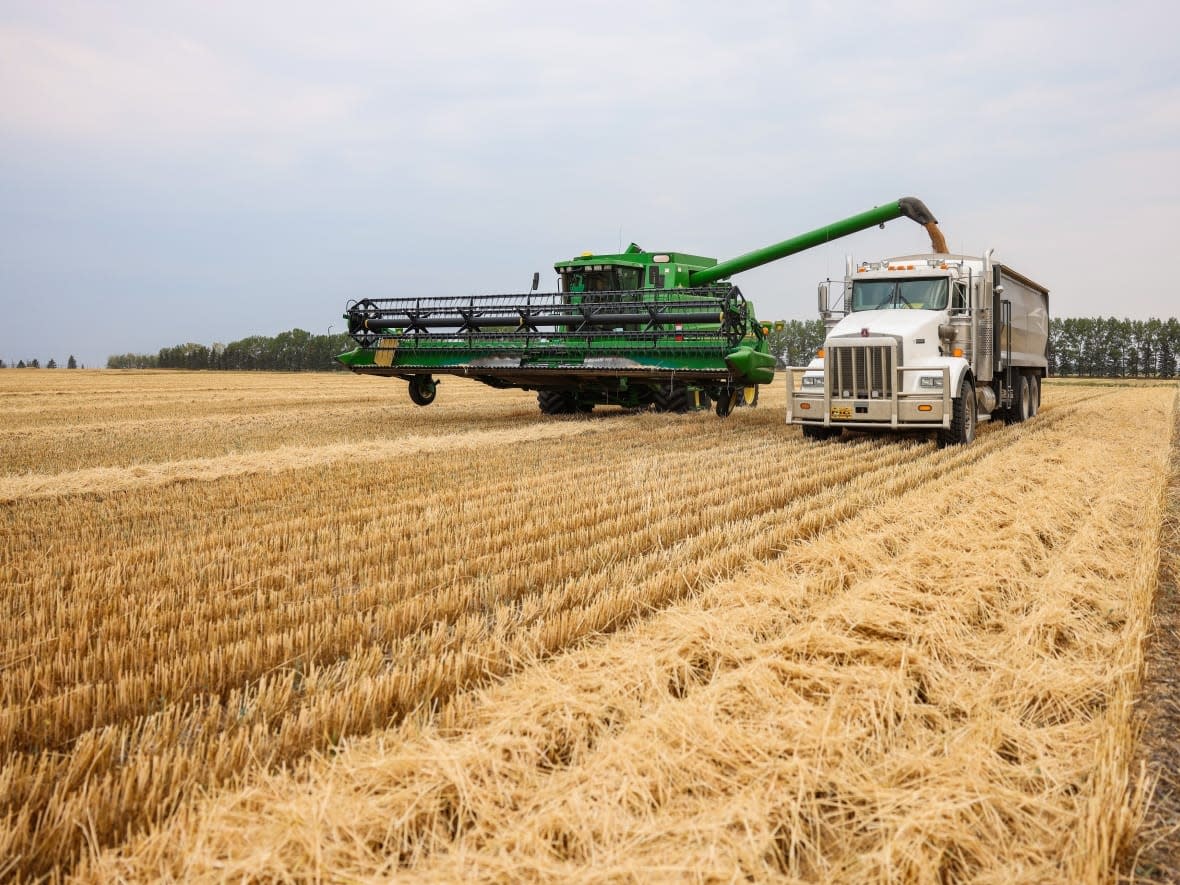 More needs to be done to keep producers in the agriculture industry, or encourage news ones to enter, according to a report released this month. (Olds College of Agriculture & Technology - image credit)