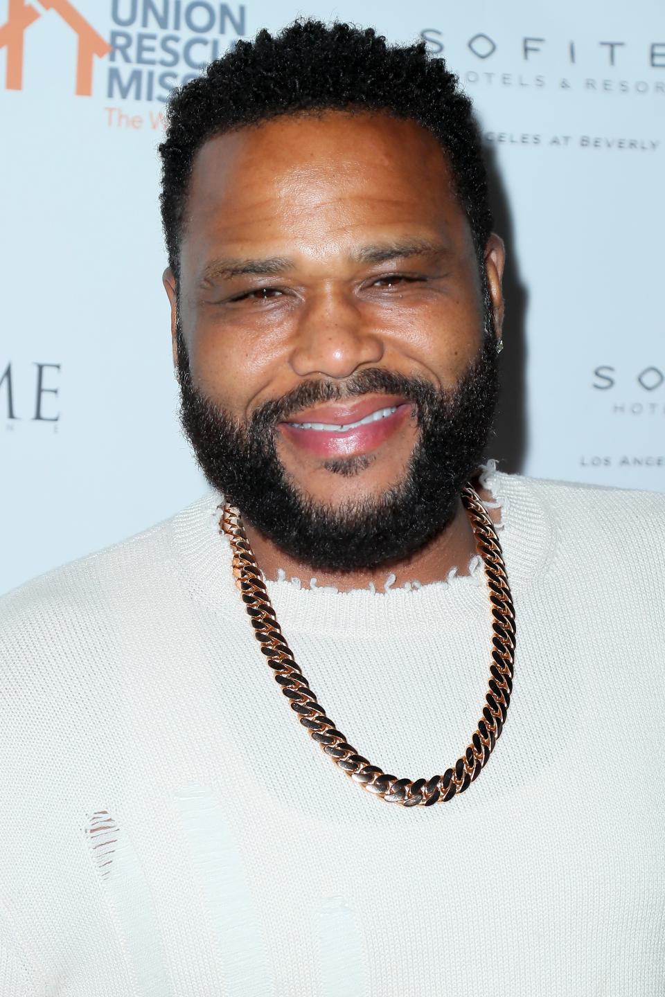 Anthony Anderson's Big Beard