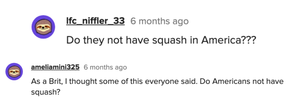 a question "Do they not have squash in America?" and answer "As a Brit, I thought some of this everyone said"