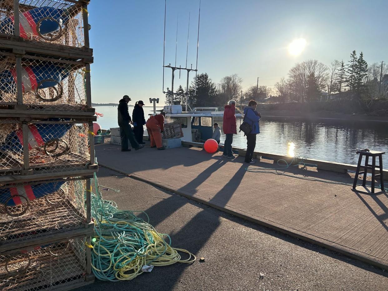 The lobster season opened on a cold and calm day Saturday in the eastern end of the Northumberland Strait. (Stacey Janzer/CBC - image credit)
