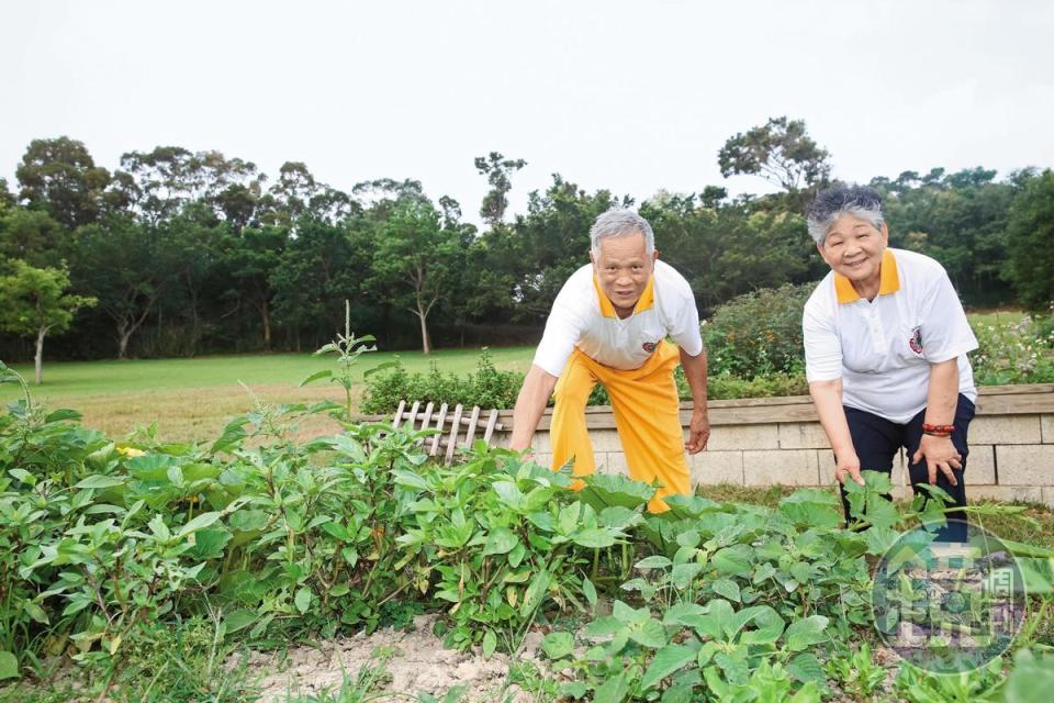 今年78歲的吳敦瑤（左）與妻子吳孫碧珠（右）活到老學到老，2人把在國外學到的自然農法引進牧場，規劃食農教育體驗課程。