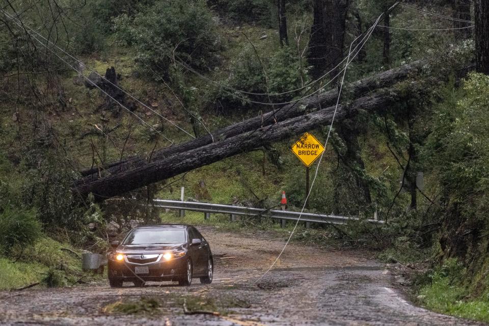 A vehicle drives past fallen trees along Big Basin Way during the latest atmospheric storm event in Boulder Creek, Calif.