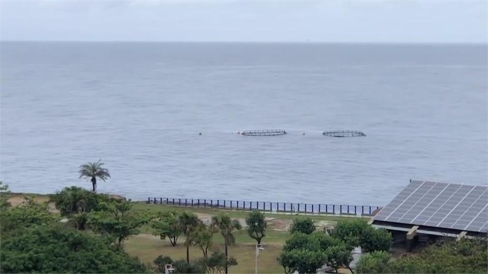 小琉球海域現「龐然大物」　竟是超過15米抹香鯨