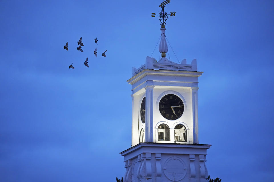 Pigeons circle a historic building in Columbia Falls, Maine, Wednesday, April 27, 2023. (AP Photo/Robert F. Bukaty)