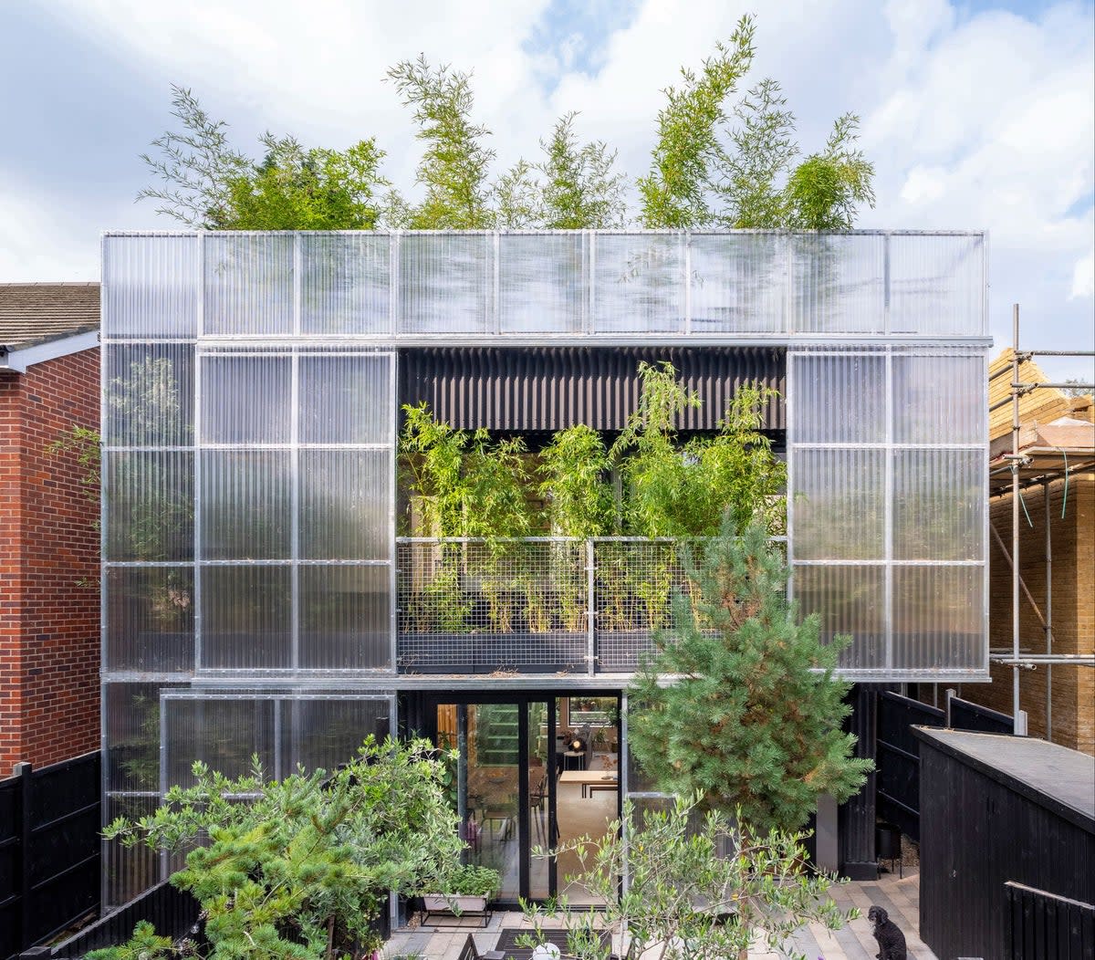 Green House by Hayhurst & Co in Tottenham has been shortlisted for Home of the Year (Kilian O'Sullivan/VIEW)