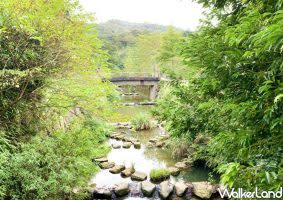 雙心造型跳石 (圖|台北市政府/Taipei Walker)