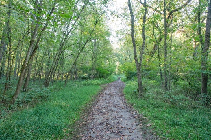 hiking trail