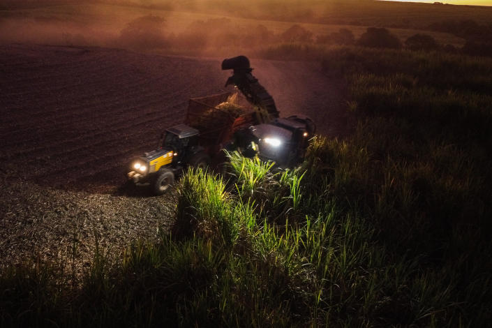 Piracicaba, 25.mai2022 - A cana-de-aucar est entre uma das grande produes de commodities que financiam as startups do agrotech. A Razen, por exemplo, maior empresa de produo e distribuio de etanol do pas,  uma das maiores financiadoras do movimento, criando at mesmo seu prprio hub de inovao aberto, onde empreendedores selecionados trabalham sem custos e recebem cursos, palestras e visitas de fundos de capital de risco, entre outros.