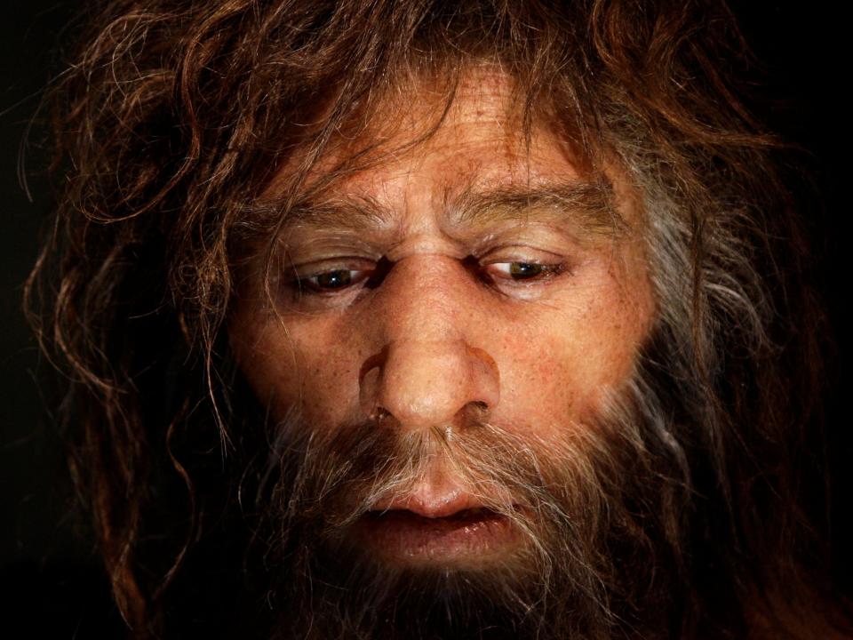 FILE PHOTO: Hyperrealistic face of a Neanderthal male is displayed in a cave in the Neanderthal Museum in the northern Croatian town of Krapina February 25, 2010. REUTERS/Nikola Solic/File Photo