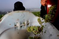 Candles save Grand Cru Chablis as frosts ravaged vineyards in Chablis