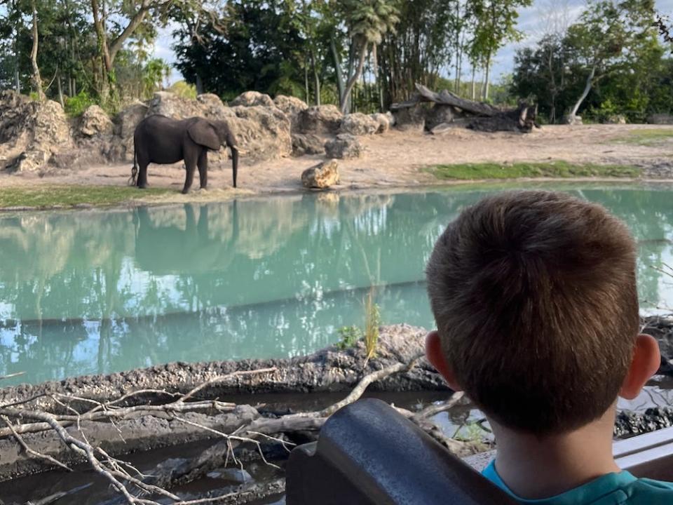 rider looking at an elephant at a watering hole on kilimanjaro safaris at animal kingdom