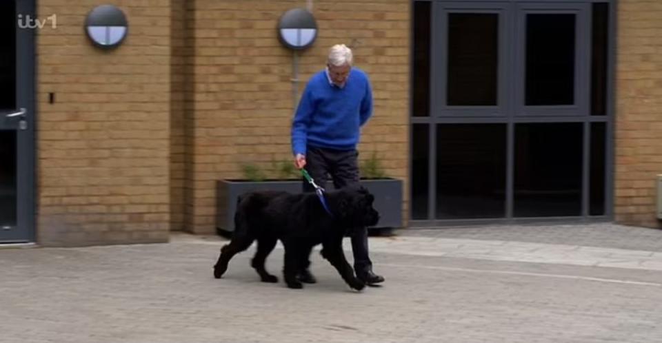 O’Grady formed a strong bond with a Newfoundland called Peggy on the episode (ITV)