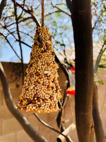 <p><a href="https://www.mommalew.com/make-a-sugar-cone-bird-feeder-craft/" data-component="link" data-source="inlineLink" data-type="externalLink" data-ordinal="1" rel="nofollow">Momma Lew</a></p>