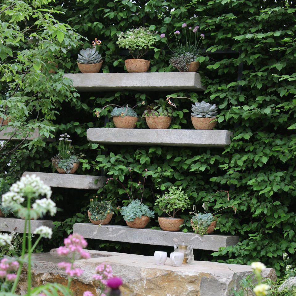 Stone shelving on garden wall with pots of succulents