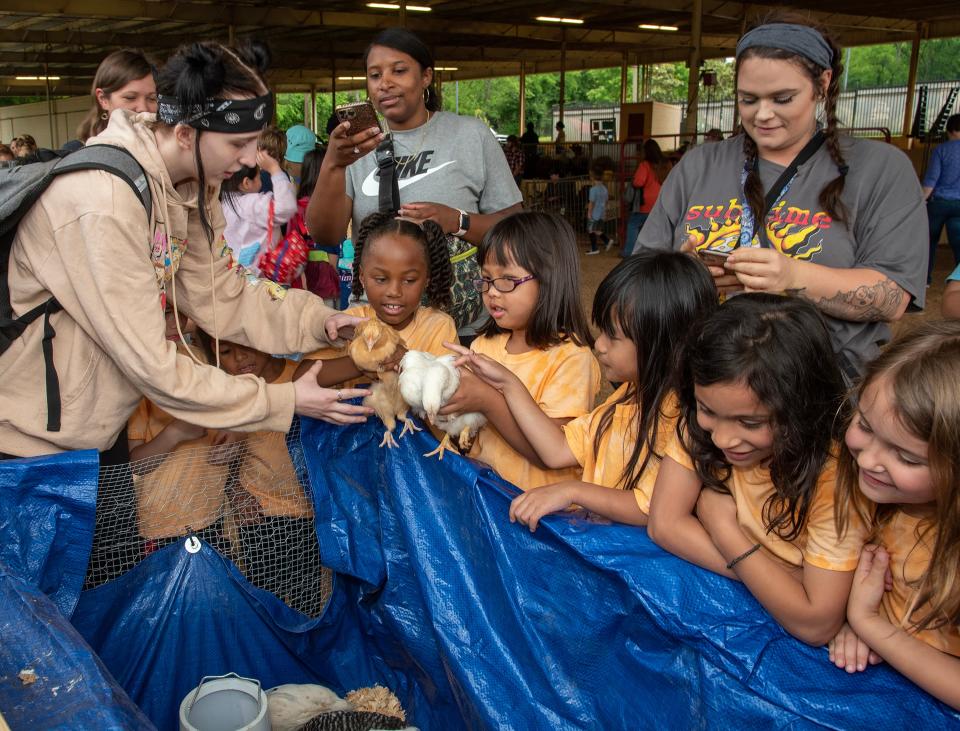 Jada Moore, left, Halls High School FFA member holds up chickens for Knox County Elementary School students to handle at the 2023 Knox County Farm Bureau Farm Day on Tuesday May 16, 2023.