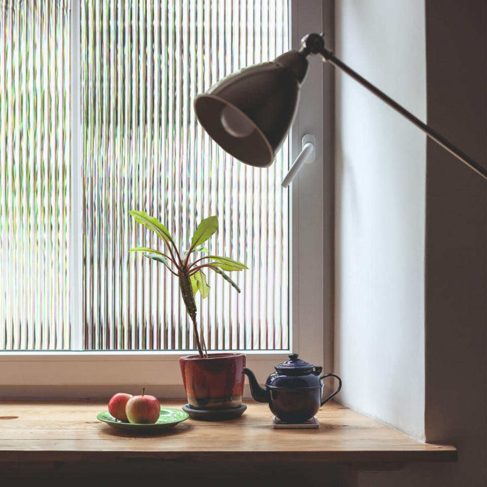 Frosted window, houseplant, lamp