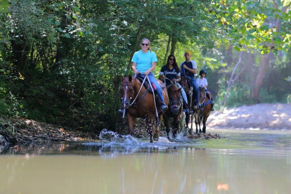 “This part of Georgia is one of the prettiest places I think in the world, really,” Pam Thompson from the Dillard House Stables said. “We have mountains, rivers, lakes, forests and something for anyone to do, whether you enjoy horseback riding, or hiking, rivers, swimming, whitewater rafting. There’s just something for everybody.”