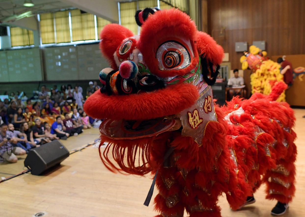 A Worcester Youth Nian Dancers lion dances across the stage during the 2017 Asian Festival in Worcester.